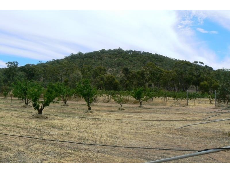 3374 Dunolly – Wedderburn Road, Moliagul VIC 3472