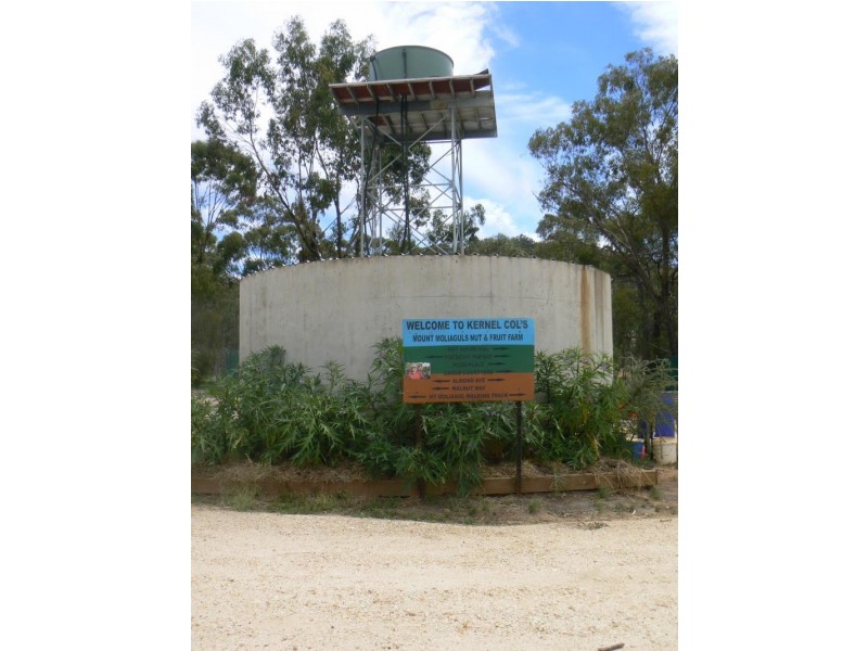 3374 Dunolly – Wedderburn Road, Moliagul VIC 3472