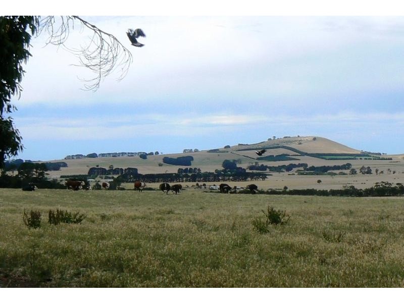 125 Victoria Road, Kingston VIC 3364