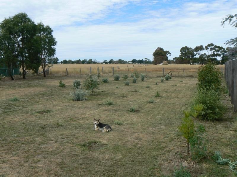 38 Albert Street, Clunes VIC 3370