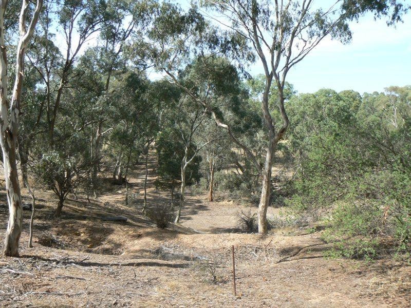 41 Whiteheads Lane, Bealiba VIC 3475