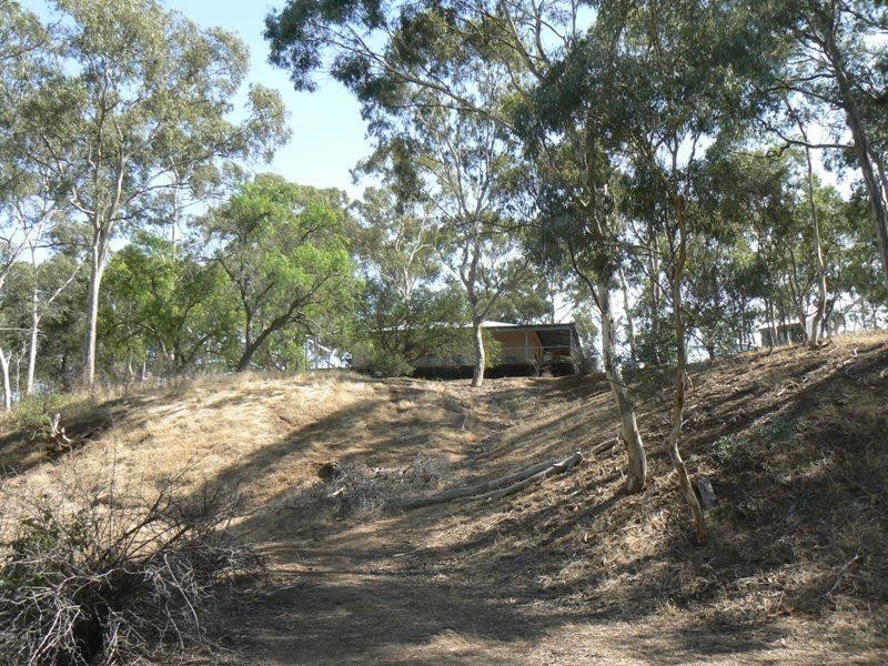 41 Whiteheads Lane, Bealiba VIC 3475