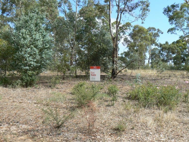 51 Russell Street, Avoca VIC 3467