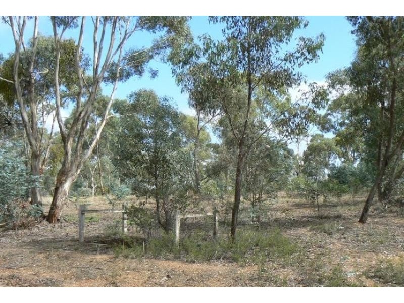 51 Russell Street, Avoca VIC 3467