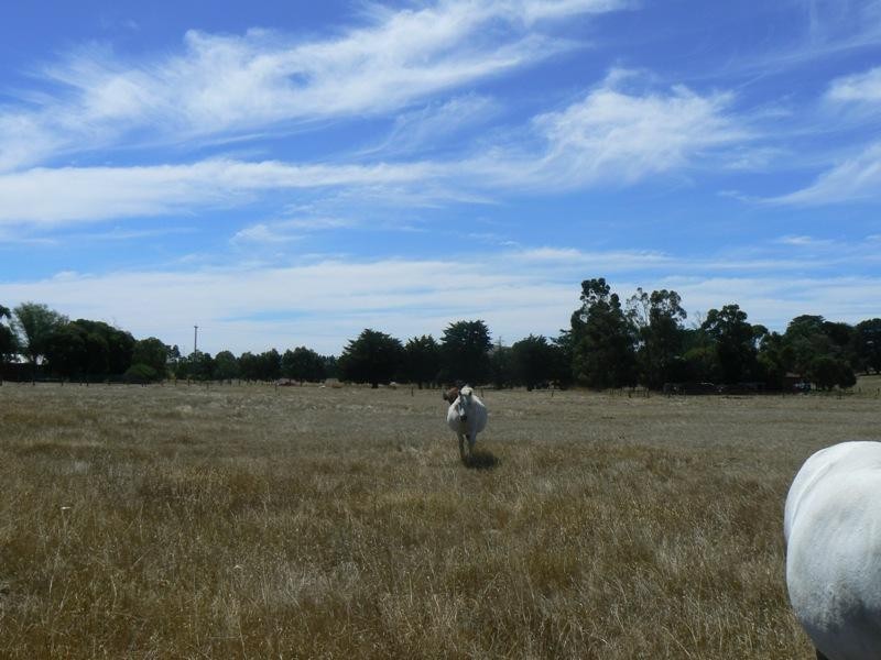 Lot S2/ Cummins Road, Miners Rest VIC 3352