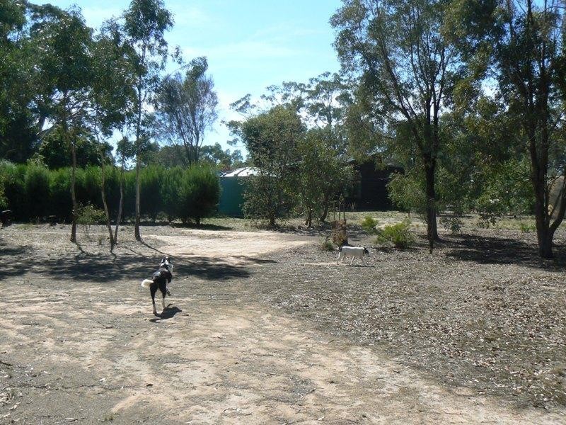 49 Skene Street, Lexton VIC 3352