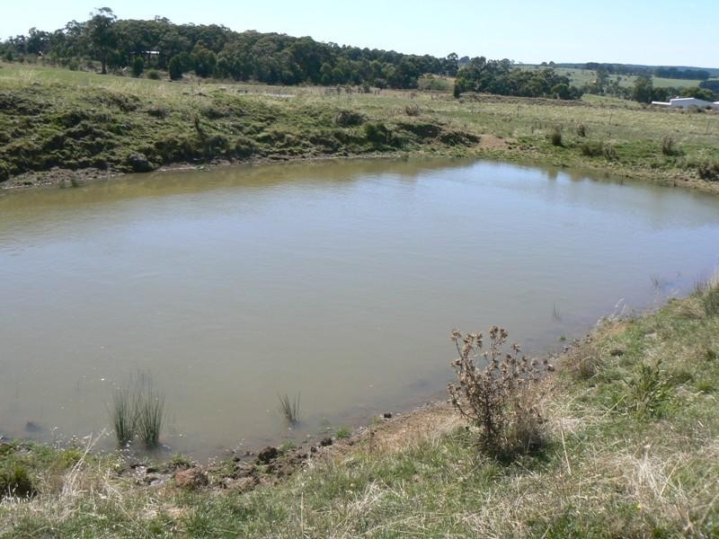 260 Blampied – Kooroocheang Road (Corner Langs Road), Blampied VIC 3364