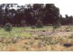 Lot 1/ Shays Lane, Dunolly VIC 3472