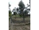 Lot 3/ Mountain View Street, Avoca VIC 3467