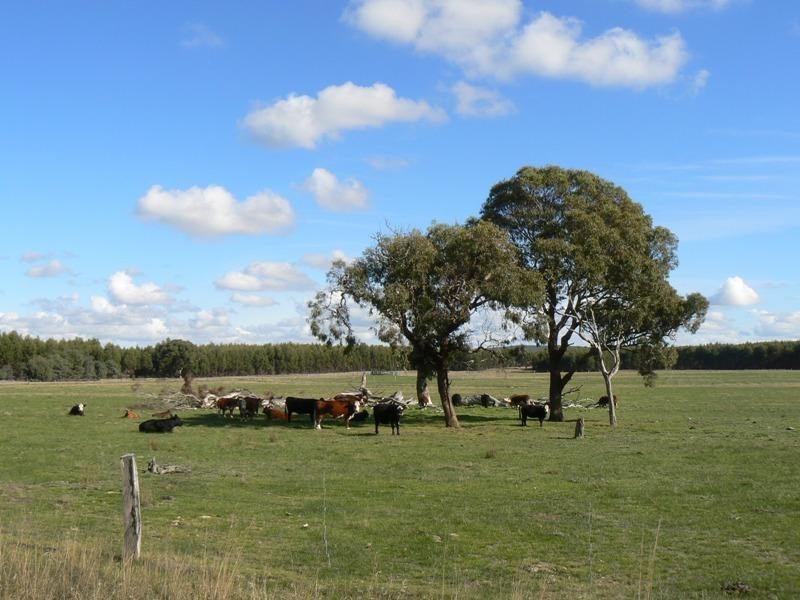 Lot 1/ Baths Road, Waterloo VIC 3373