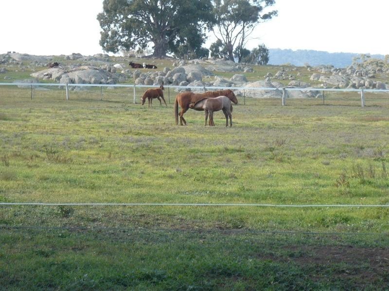 284 Baringhup Road, Maldon VIC 3463