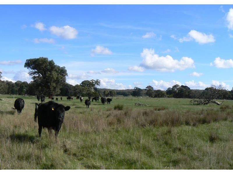 Lot 57A,57/ Beaufort-Lexton Rd, Waterloo VIC 3373