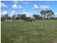 Lot 57A,57/ Beaufort-Lexton Rd, Waterloo VIC 3373
