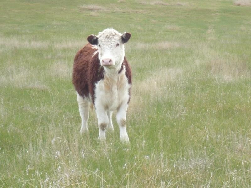 193 Chute – Raglan Road, Raglan VIC 3373