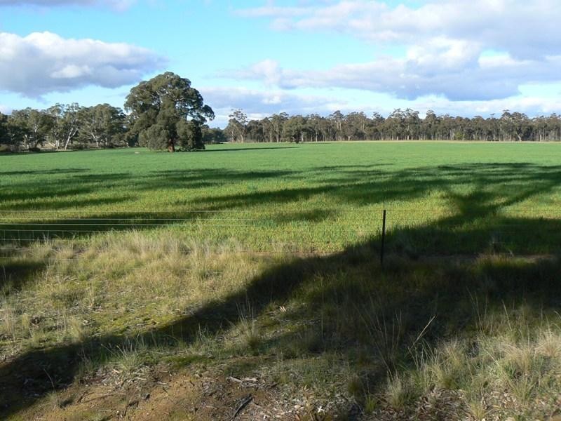 149 Plantation Road, Majorca VIC 3465