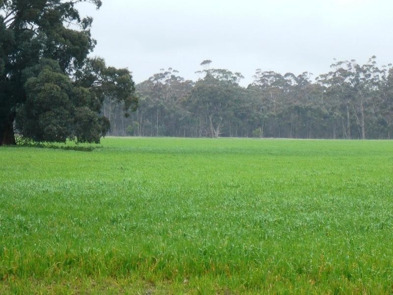 149 Plantation Road, Majorca VIC 3465