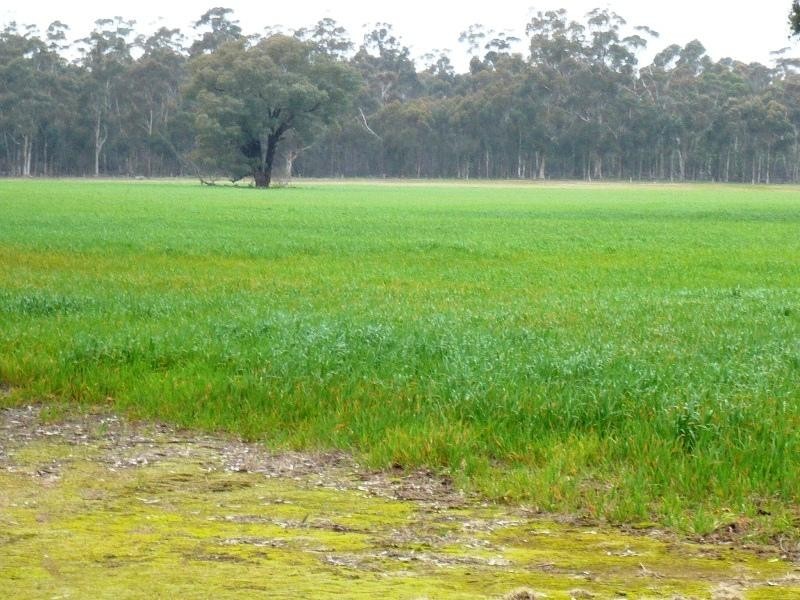 149 Plantation Road, Majorca VIC 3465