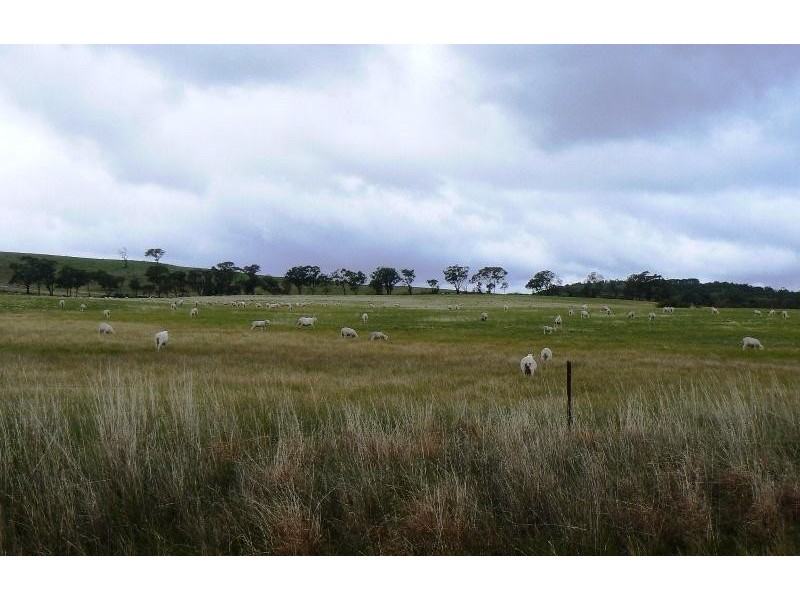 Lot 1/ Avoca Greenhill  Creek Road, Amphitheatre VIC 3468