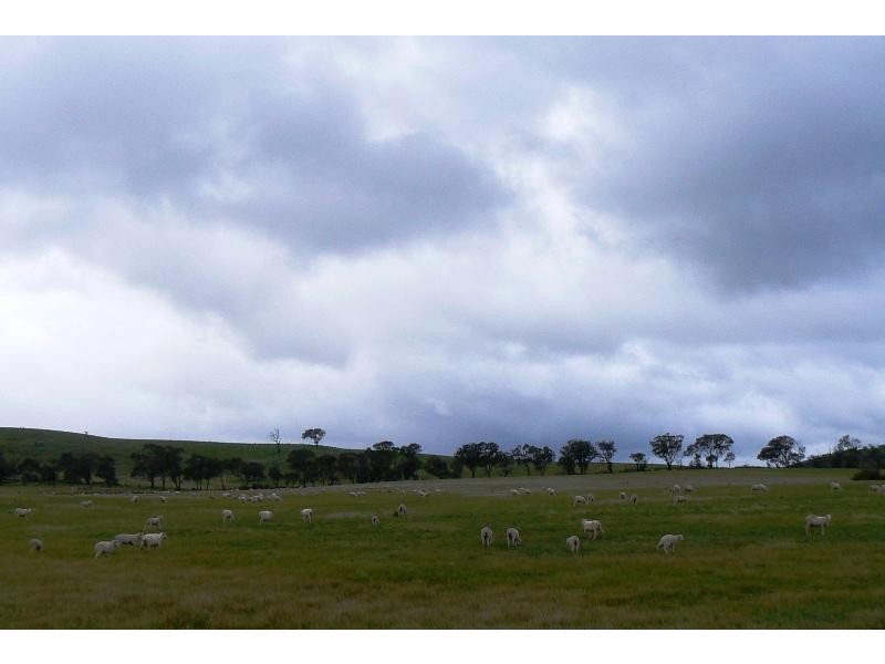 Lot 1/ Avoca Greenhill  Creek Road, Amphitheatre VIC 3468