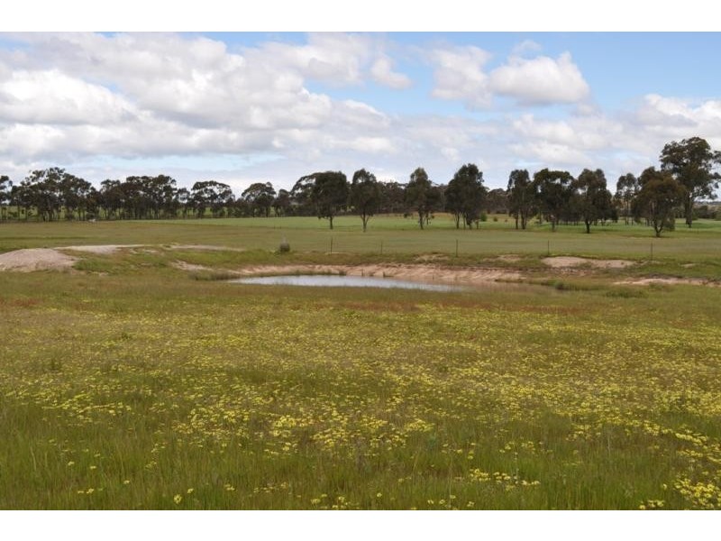 143 Roonies Lane, Painswick VIC 3551