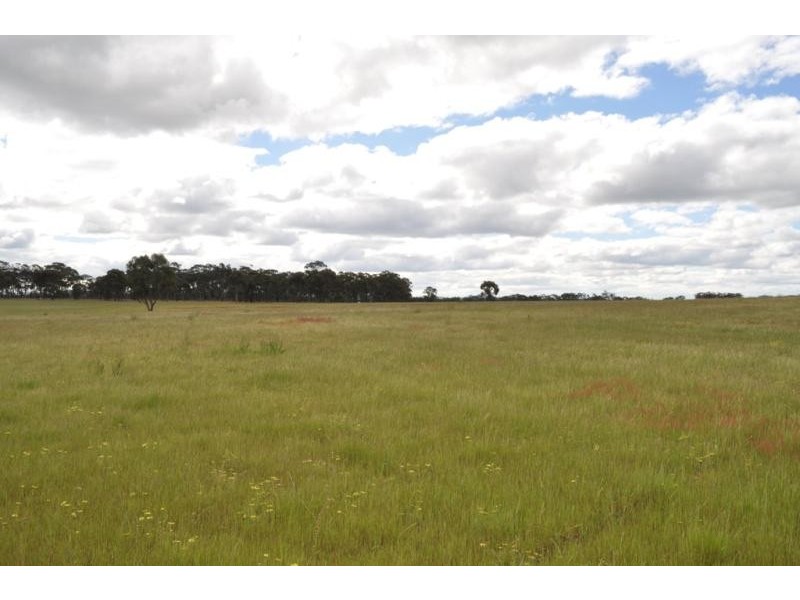 143 Roonies Lane, Painswick VIC 3551