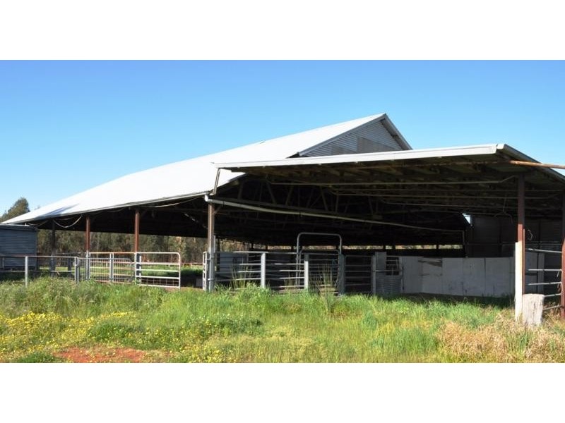 568 Ercildoune Road, Ercildoune VIC 3352