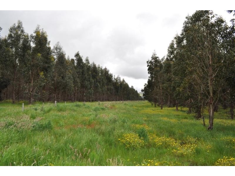 568 Ercildoune Road, Ercildoune VIC 3352