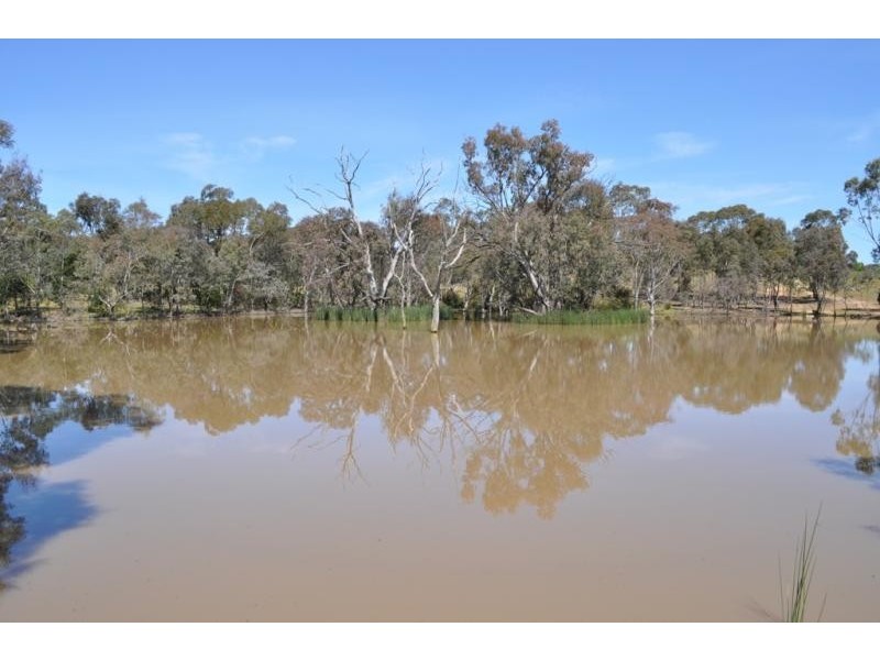 1502 Waubra – Talbot Road, Evansford VIC 3371