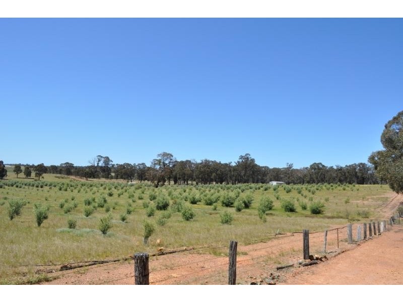 5293 Wimmera Highway, Cochranes Creek VIC 3475