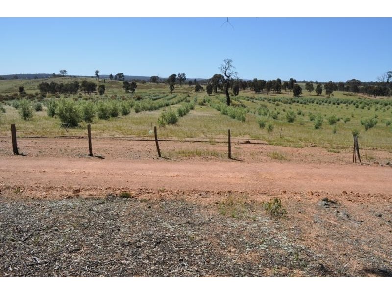 5293 Wimmera Highway, Cochranes Creek VIC 3475