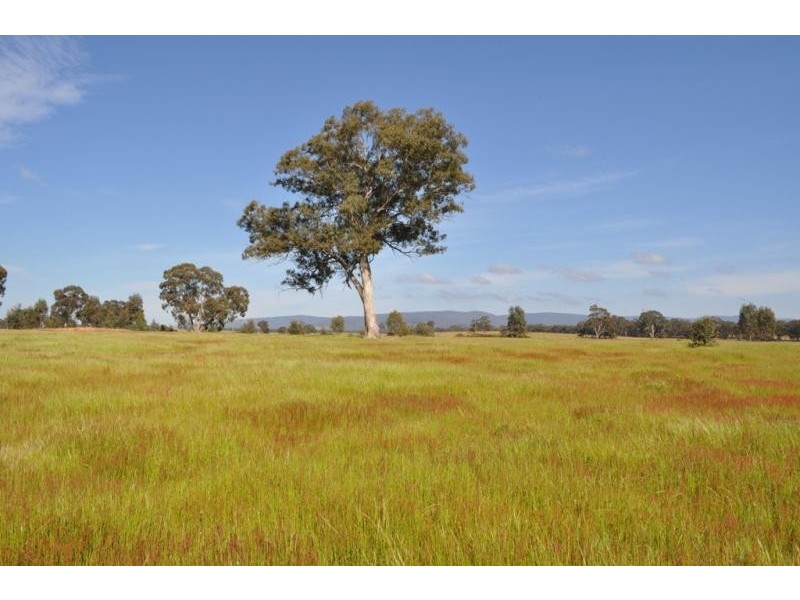 177 Lamplough-Greenhill Creek Road, Lamplough VIC 3352