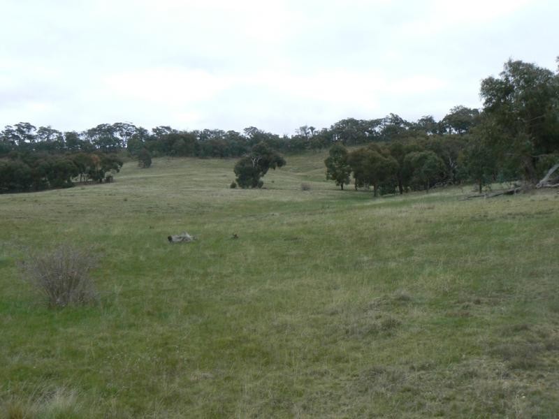 Lot 26/ Stawell – Avoca Road, Moonambel VIC 3478