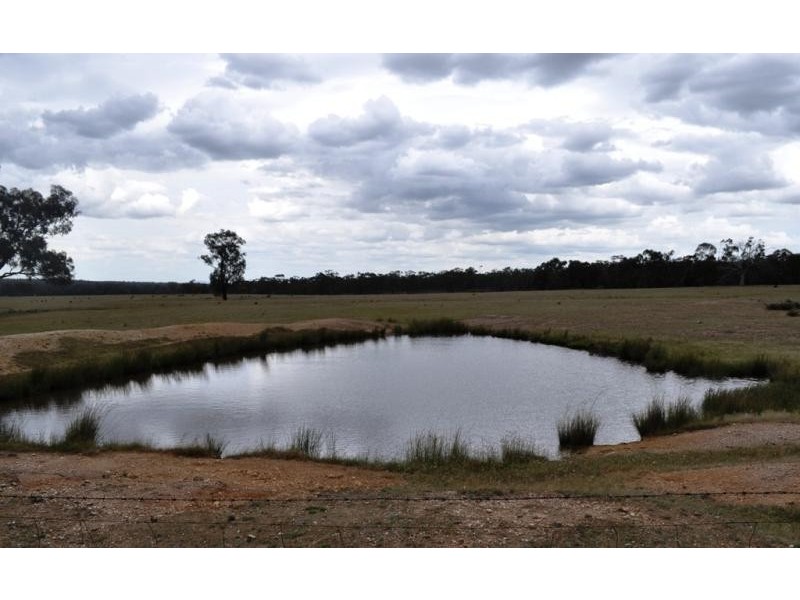 Lot 12/ Lillicur Road, Lillicur VIC 3371