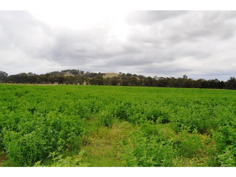 Lot 1/ Stony Crossing Road, Redbank VIC 3478