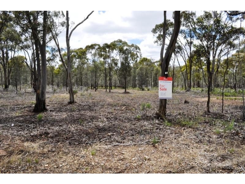 60 Bealiba South Road, Dunluce VIC 3472