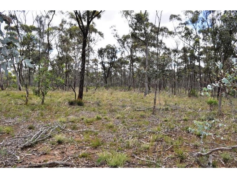 60 Bealiba South Road, Dunluce VIC 3472