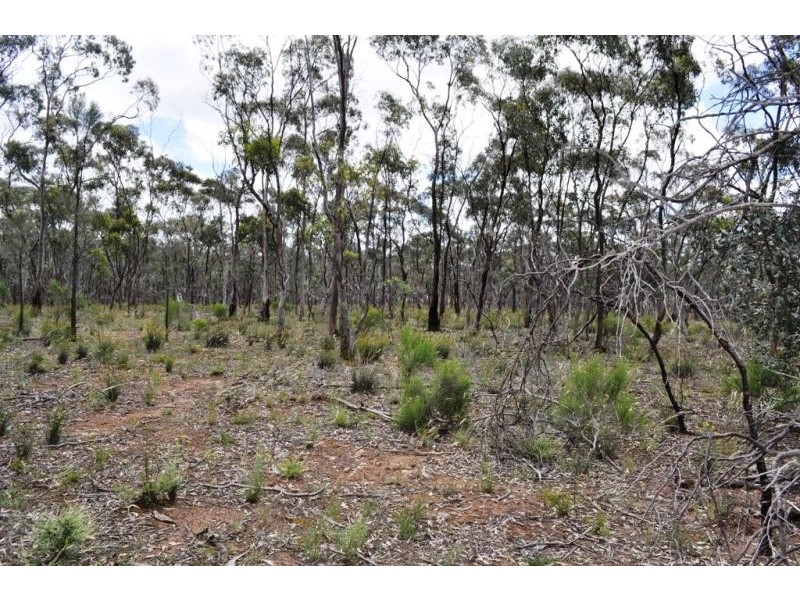 60 Bealiba South Road, Dunluce VIC 3472