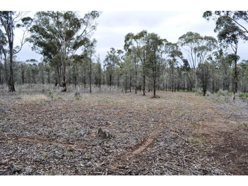 60 Bealiba South Road, Dunluce VIC 3472