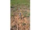 Lot 2/ Boyce Street, Avoca VIC 3467