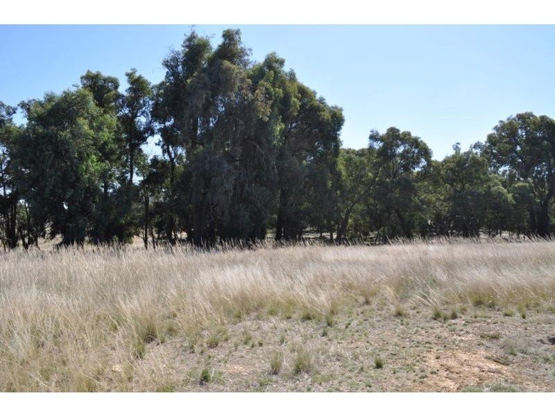 4877 Stawell-Avoca Road, Barkly VIC 3381