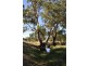 115 Frenchmans-St Arnaud Road, Barkly VIC 3381
