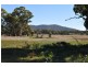 115 Frenchmans-St Arnaud Road, Barkly VIC 3381