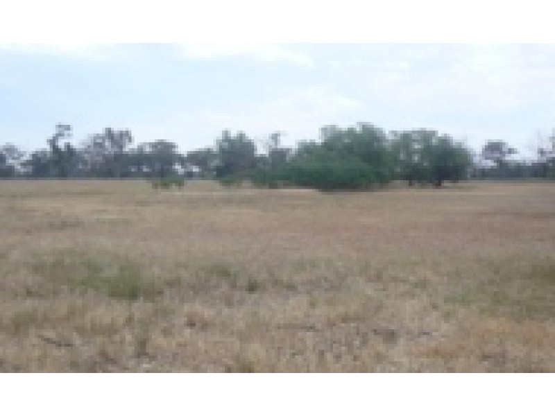 Lot 31/ Harts Lane, Avoca VIC 3467