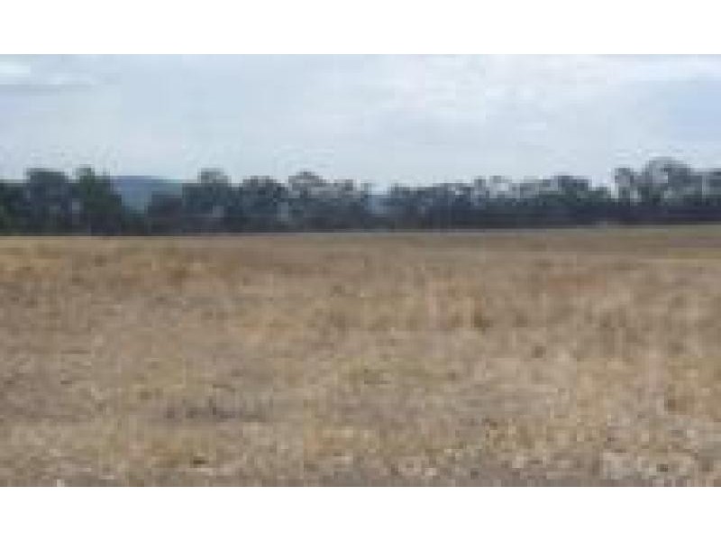 Lot 31/ Harts Lane, Avoca VIC 3467
