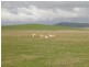 Clunes VIC 3370
