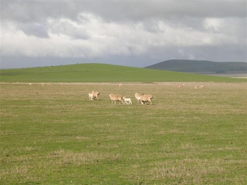 Clunes VIC 3370