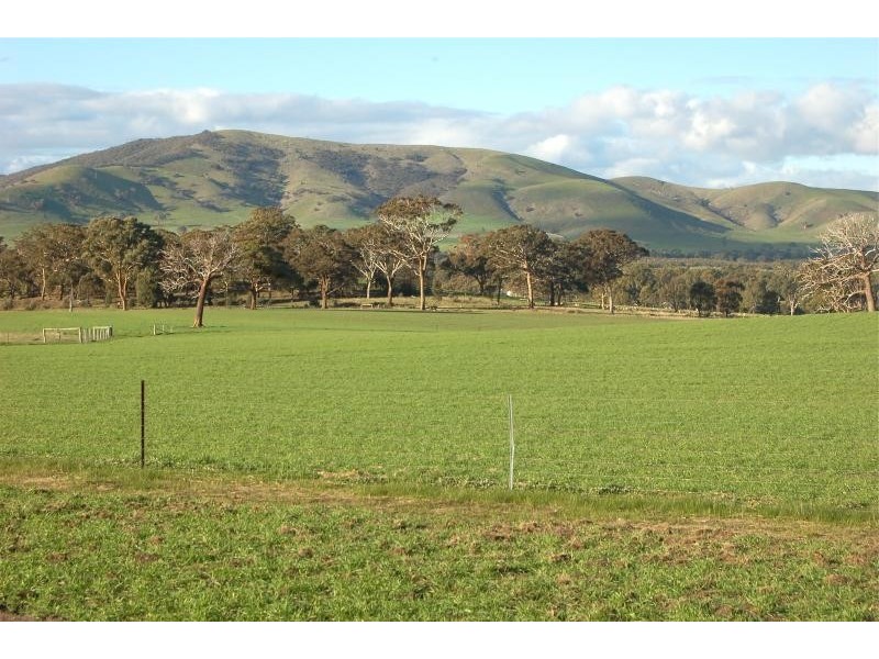 KILLIFRET -126 Neils Road, Mount Lonarch VIC 3468