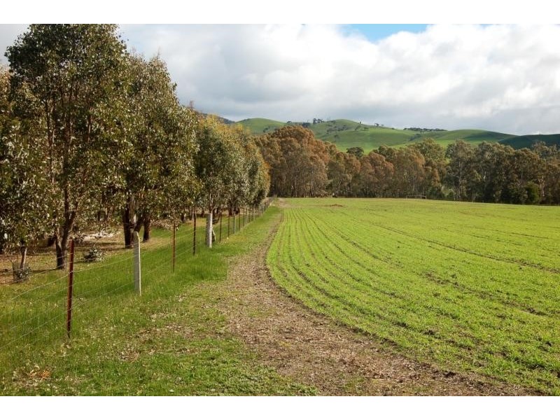 KILLIFRET -126 Neils Road, Mount Lonarch VIC 3468