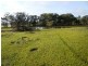 FAIRVIEW, 157 HAYWOODS RD, Lal Lal VIC 3352