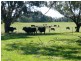 200 IRONMINE ROAD, Lal Lal VIC 3352
